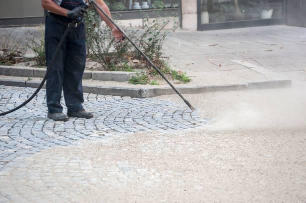 Best Roof Washing  in Huntertown, IN